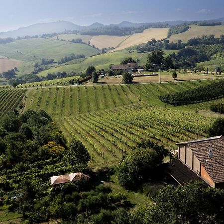 La Ca Dal Non Bioagriturismo - Alpenice Savignano sul Panaro Екстер'єр фото