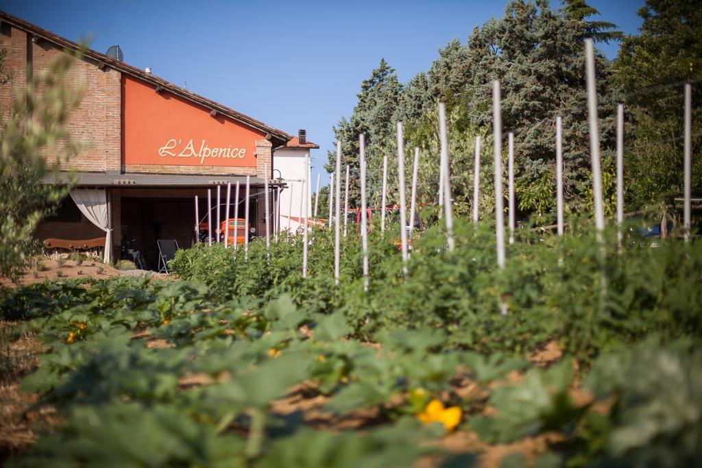 Вілла L'Alpenice Bioagriturismo Savignano sul Panaro Екстер'єр фото