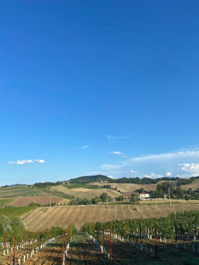 Вілла L'Alpenice Bioagriturismo Savignano sul Panaro Екстер'єр фото