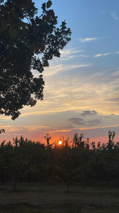 Вілла L'Alpenice Bioagriturismo Savignano sul Panaro Екстер'єр фото