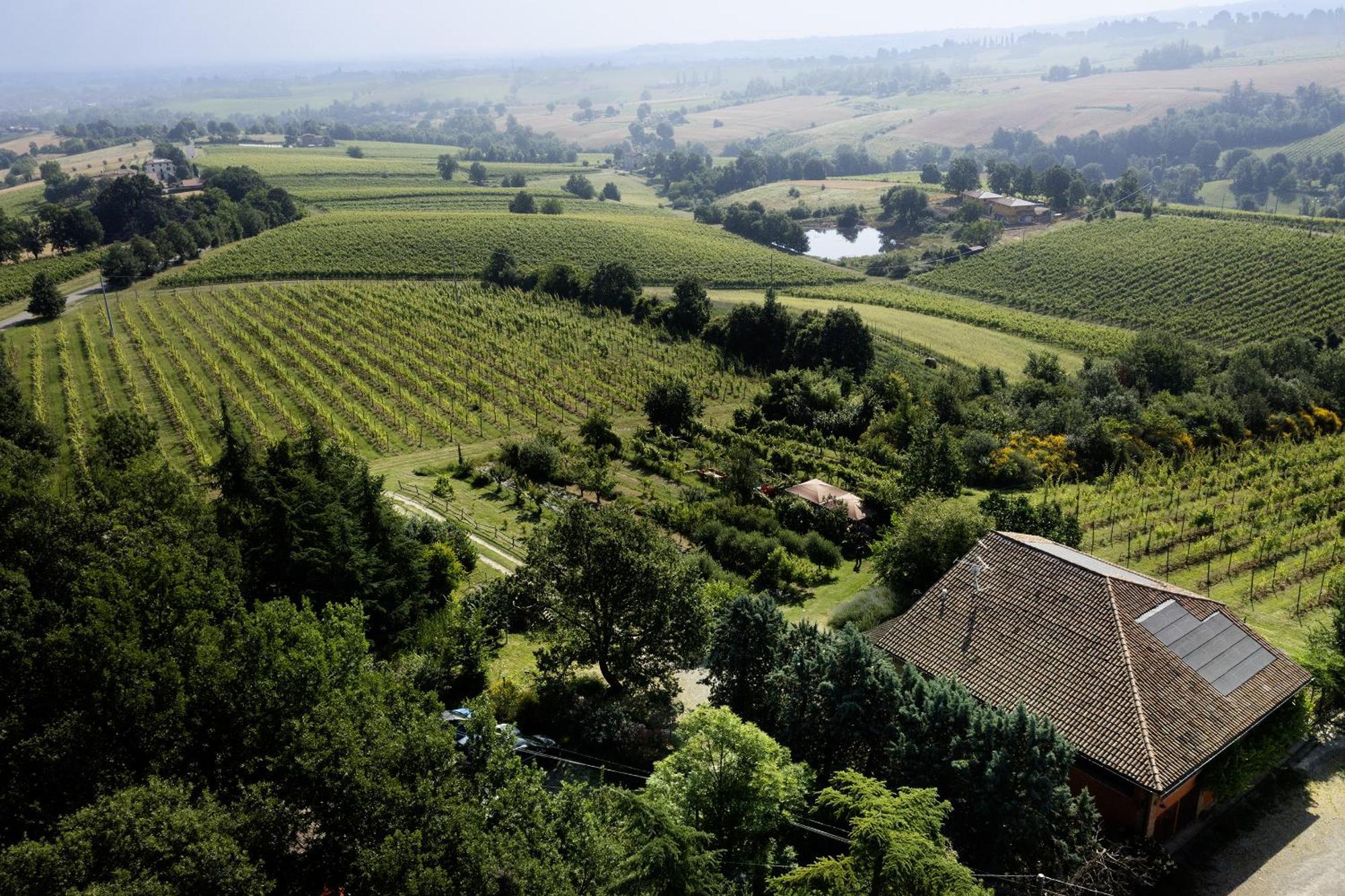 Вілла L'Alpenice Bioagriturismo Savignano sul Panaro Екстер'єр фото