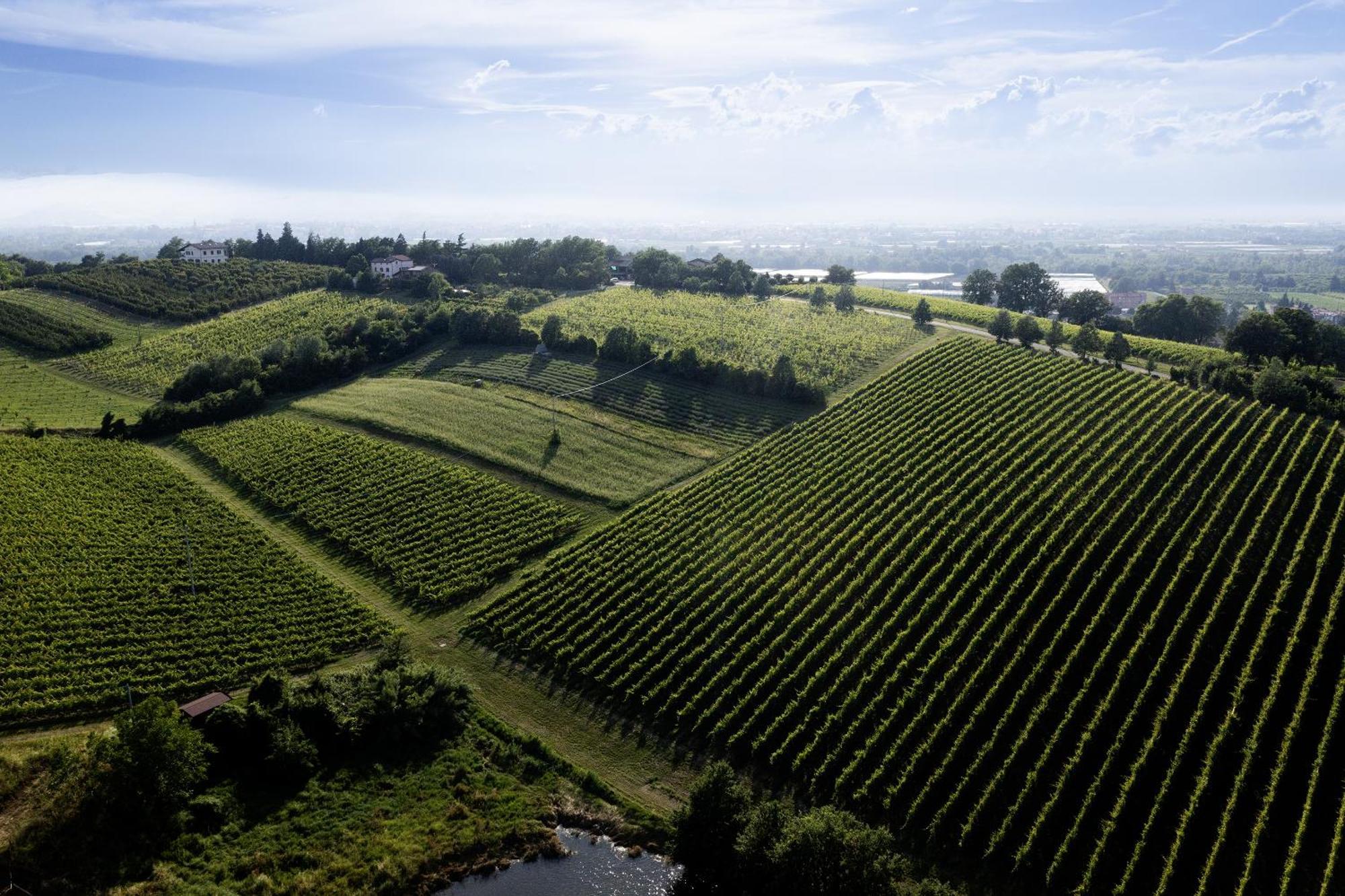 La Ca Dal Non Bioagriturismo - Alpenice Savignano sul Panaro Екстер'єр фото