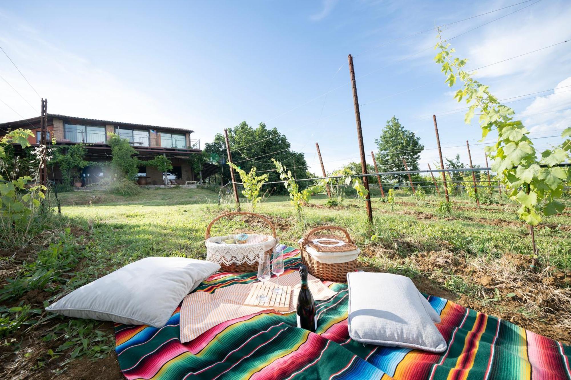 La Ca Dal Non Bioagriturismo - Alpenice Savignano sul Panaro Екстер'єр фото