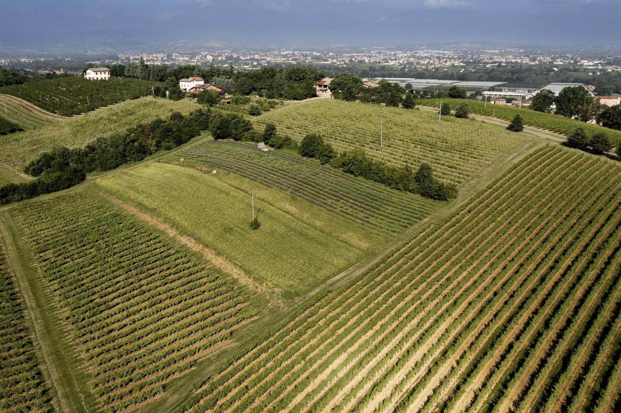 La Ca Dal Non Bioagriturismo - Alpenice Savignano sul Panaro Екстер'єр фото