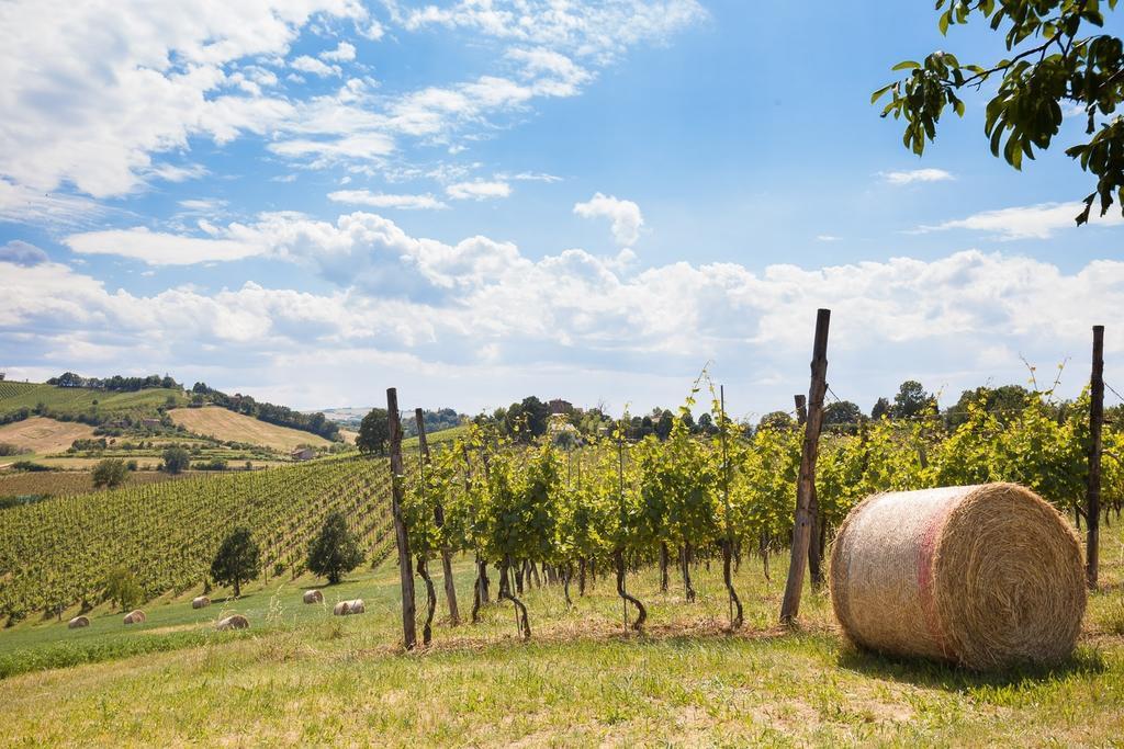 Вілла L'Alpenice Bioagriturismo Savignano sul Panaro Екстер'єр фото